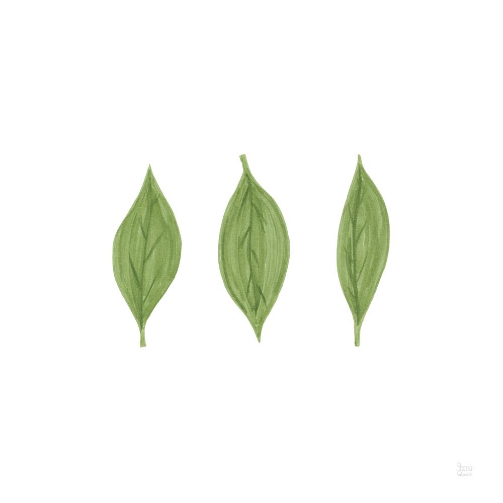 Three Leafs United Square