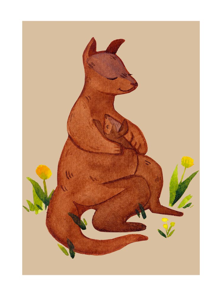 Parent Kangaroo And Joey