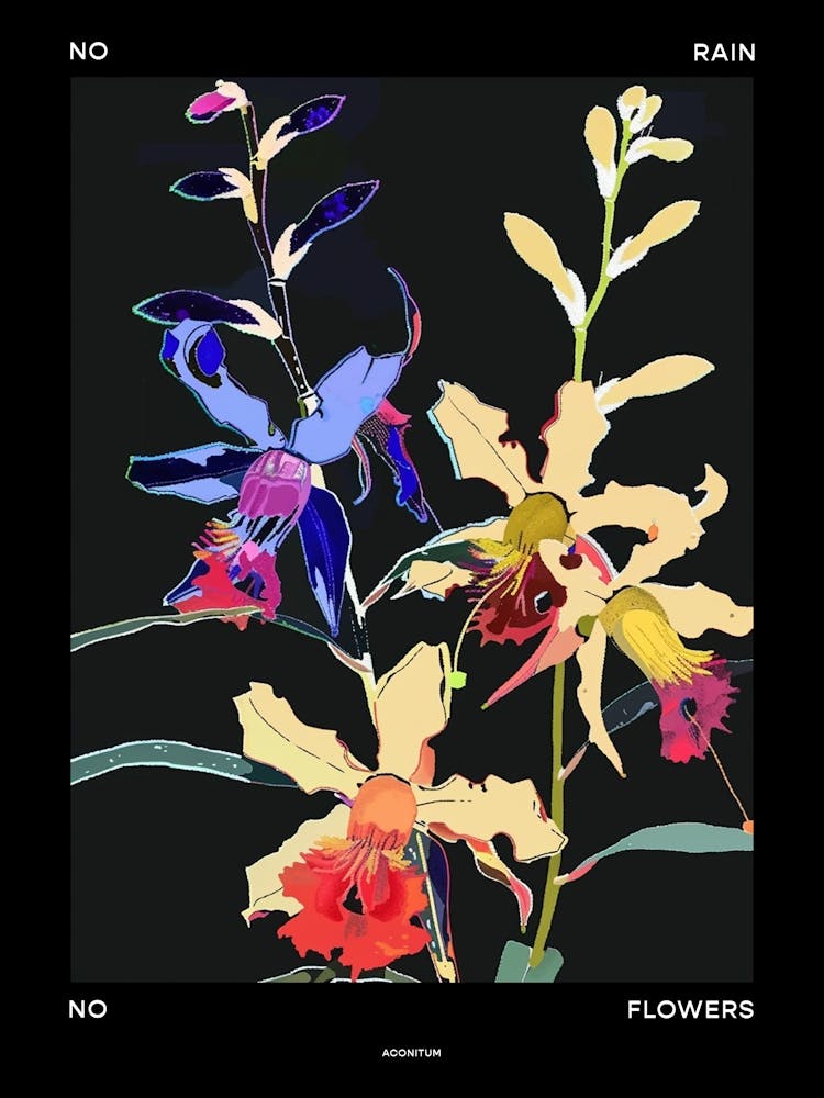 No Rain No Flowers Poster Aconitum 3