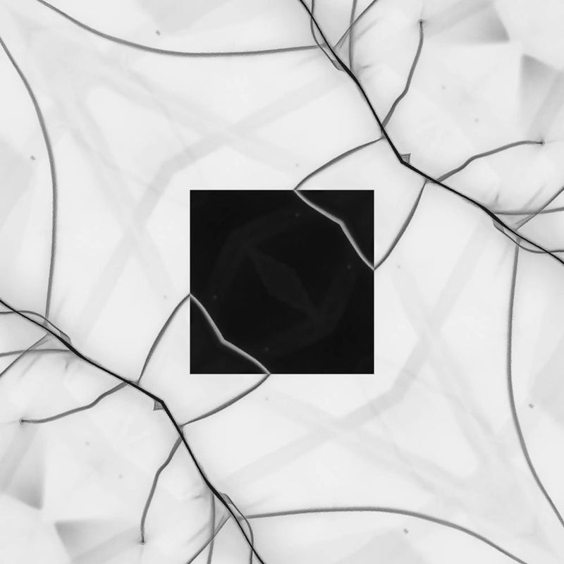 Black And White Abstract