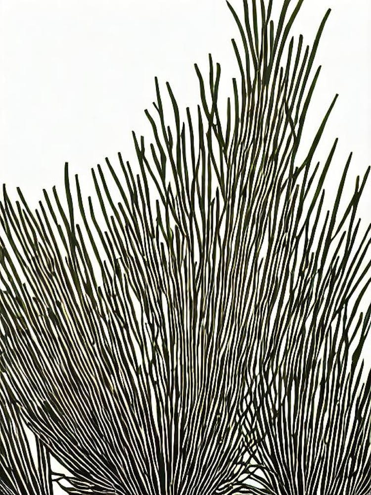 Acropora Intermedia Iiii Linocut