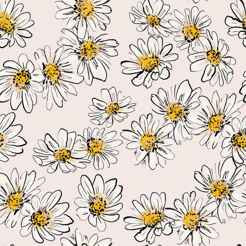 Daisies Flowers Pink