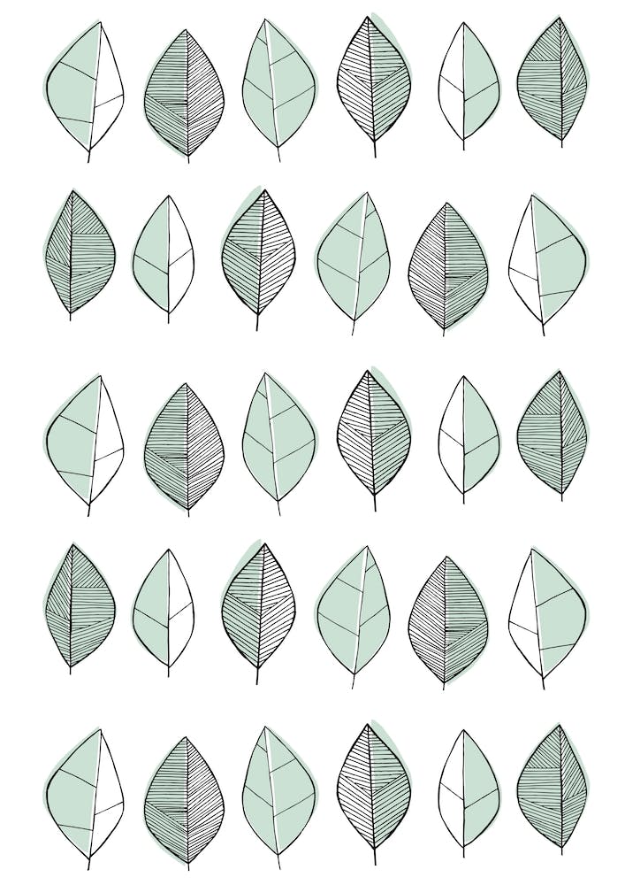 Leaves Mint