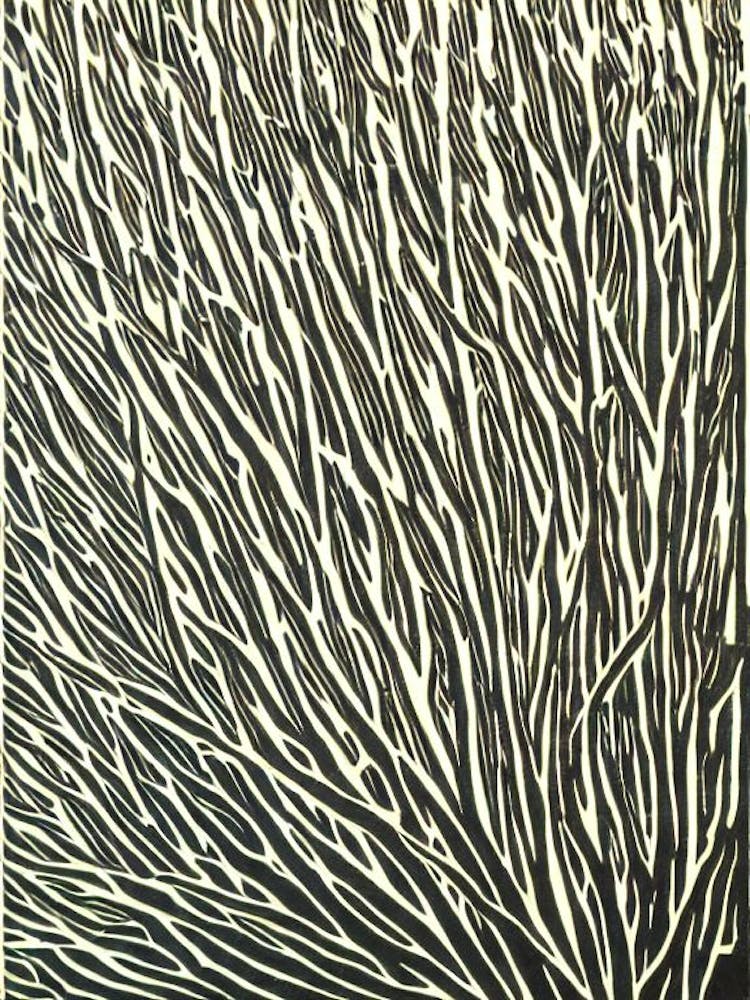 Acropora Rongelapensis Linocut