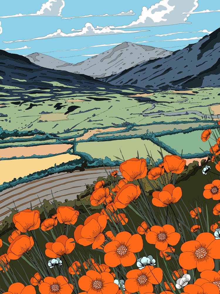 Poppies In The Valley 2