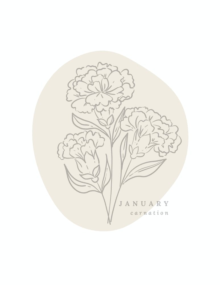 January Carnation  Birth Flower | Neutral Florals