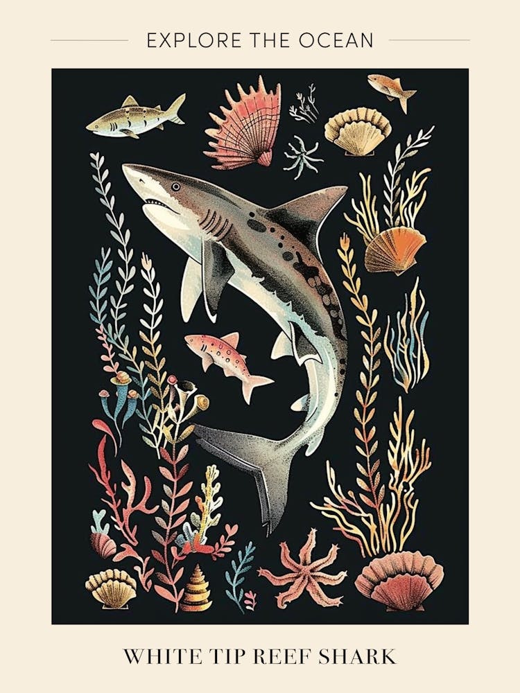 White Tip Reef Shark Seascape Black Background Illustration 4 Poster