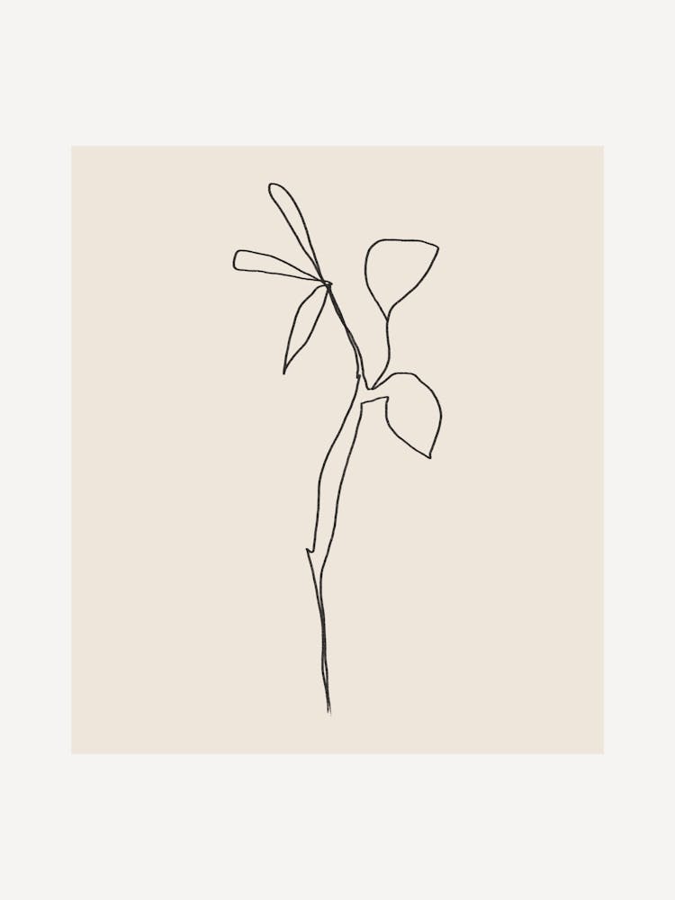 Pure forms no 18