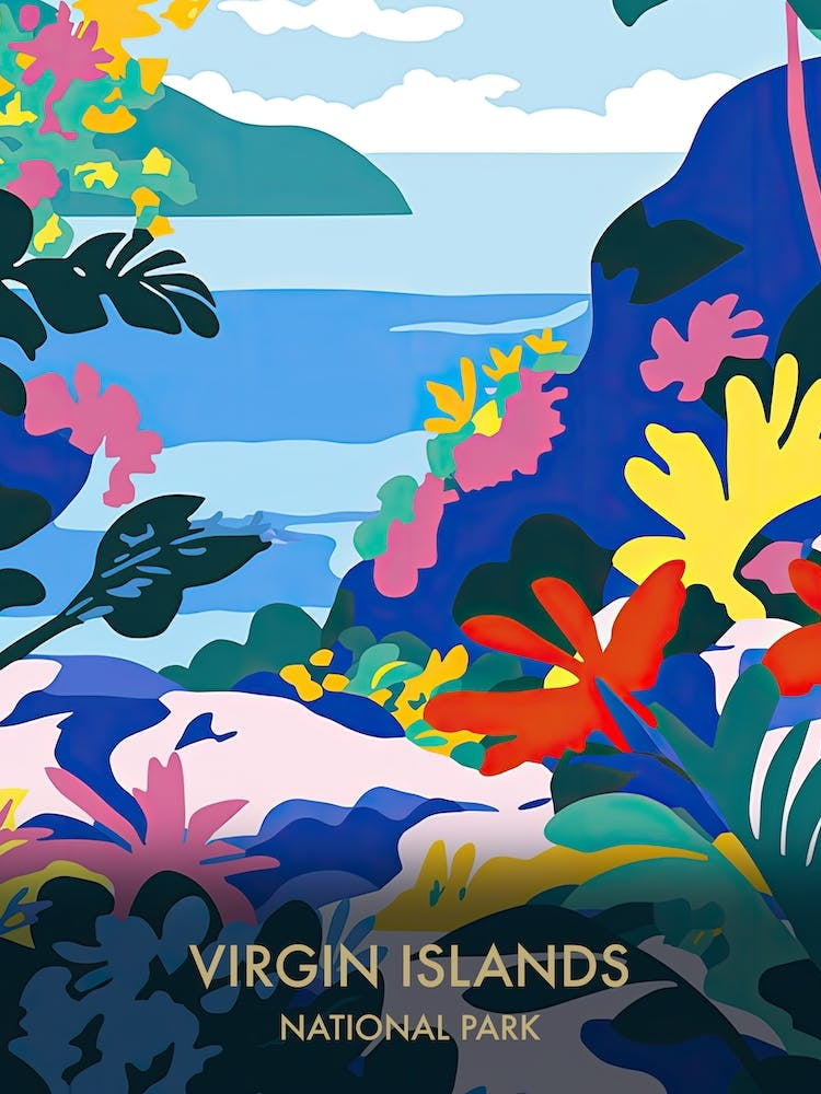 Virgin Islands National Park Travel Poster Matisse Style 3