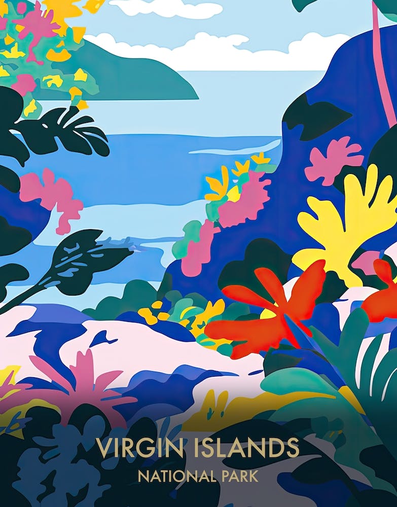 Virgin Islands National Park Travel Poster Matisse Style 3
