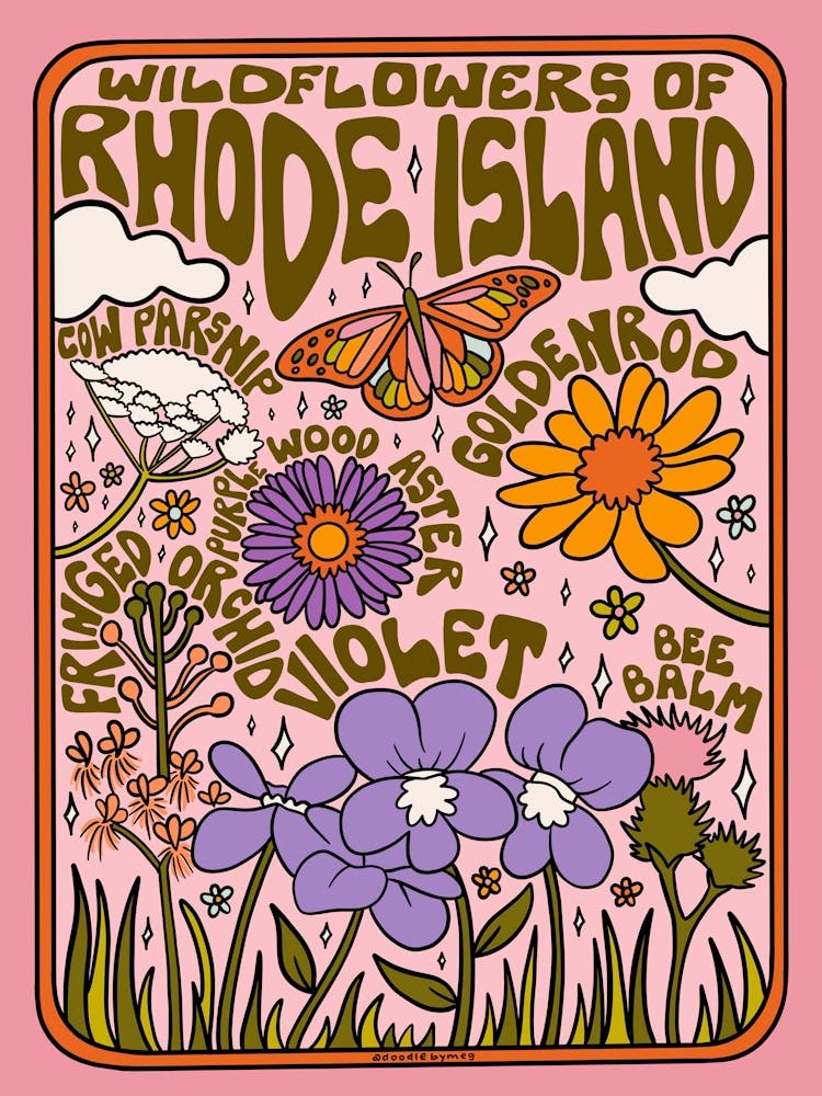 Rhode Island Wildflowers