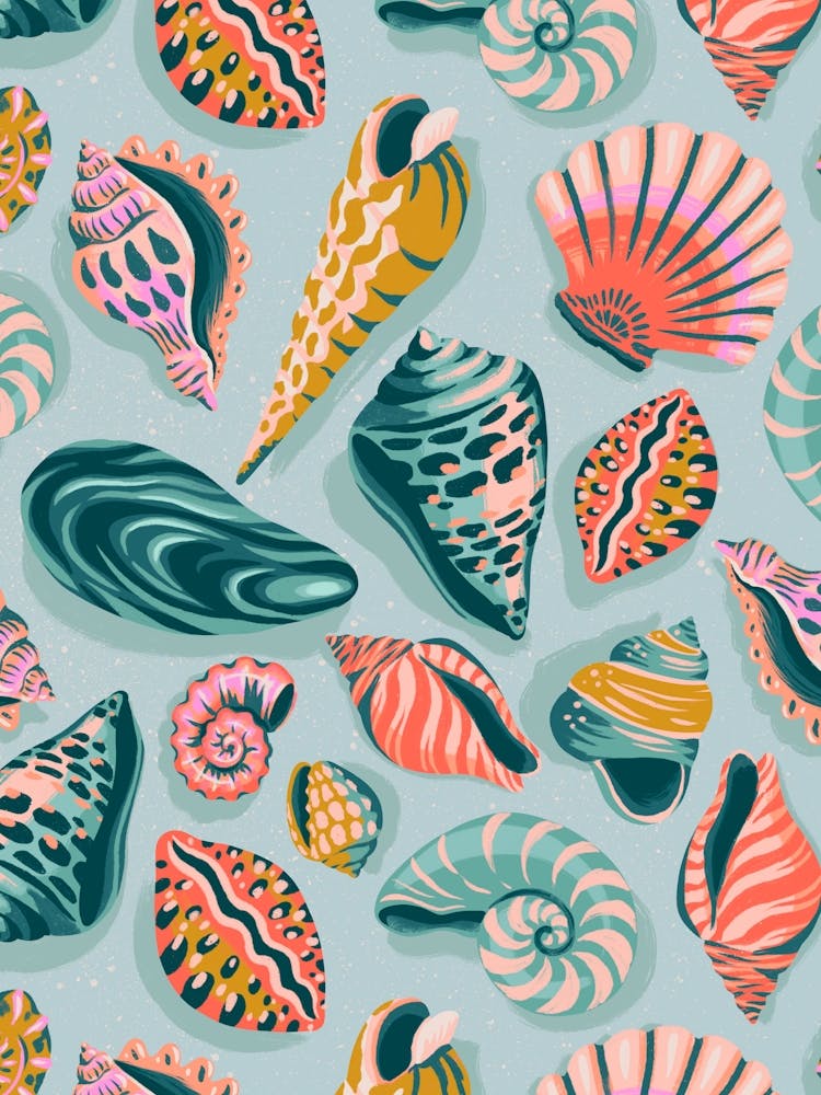 Sublime Seashells