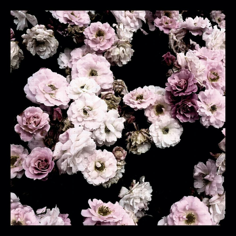 Vintage Rose