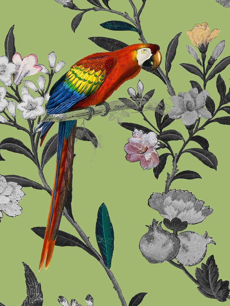 Parrot Floral Green Floral Twist Illustration
