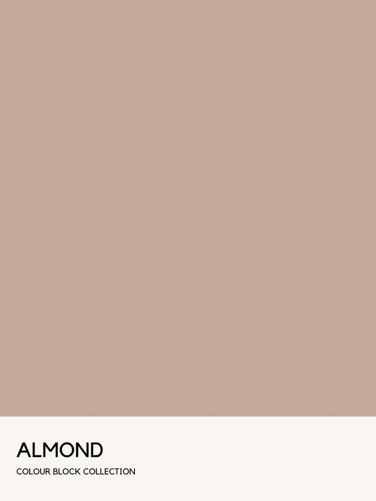 Almond Colour Block Poster