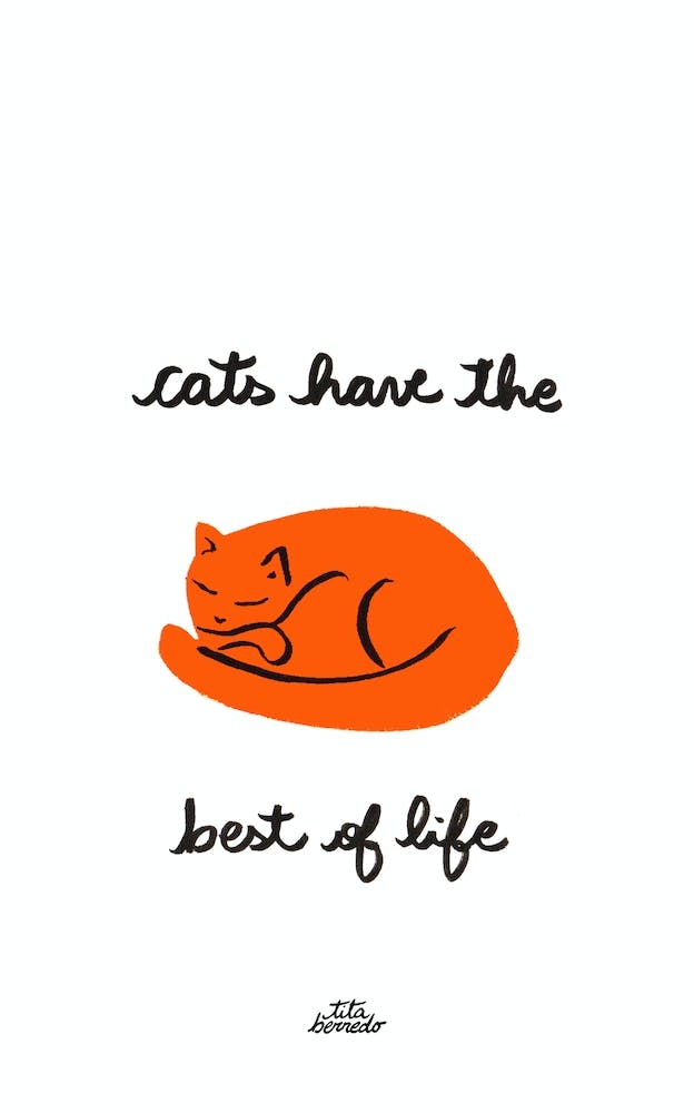 Cats Life
