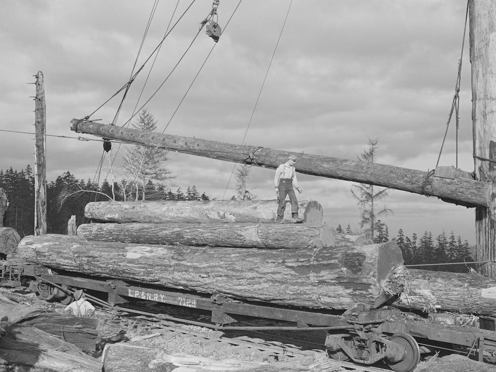 Long Bell Lumber Company, Cowlitz County, Washington, Fir Logs Loaded On Railroad Flatcar For Removal From Woods