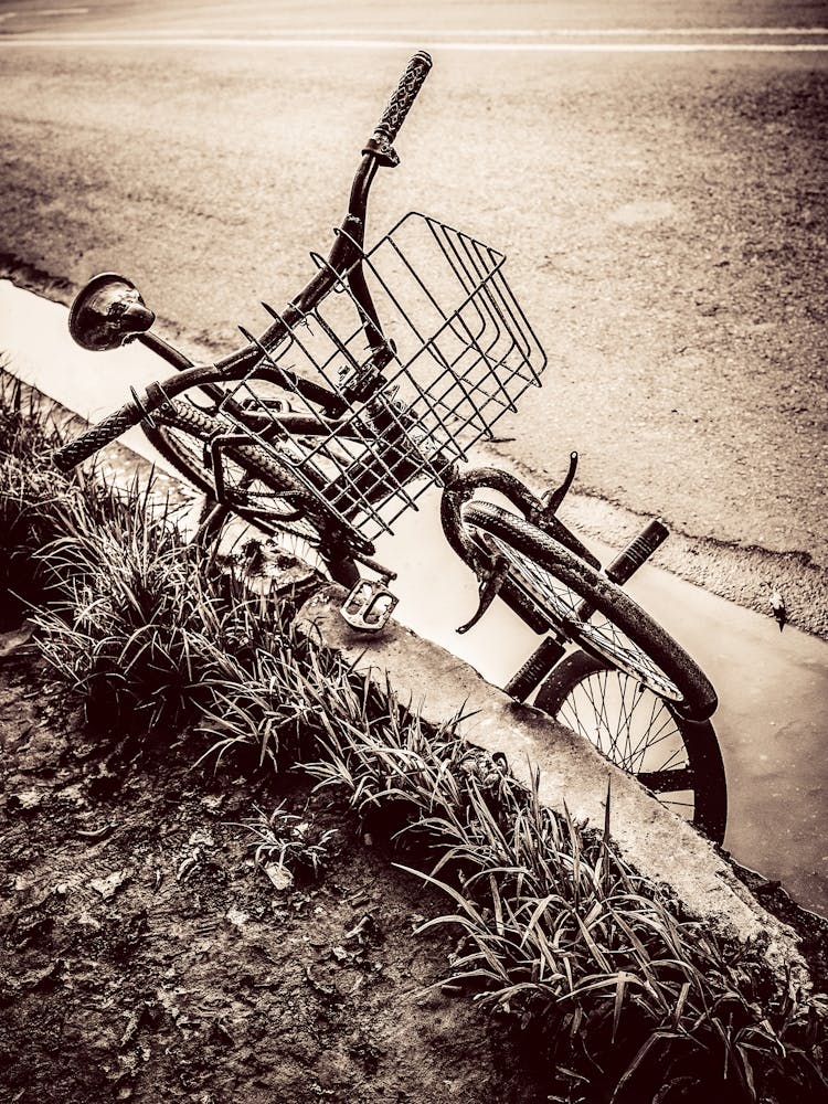 Kerbside Bicycle