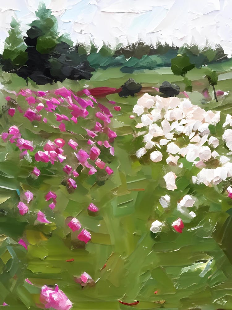 Roses Roses 1