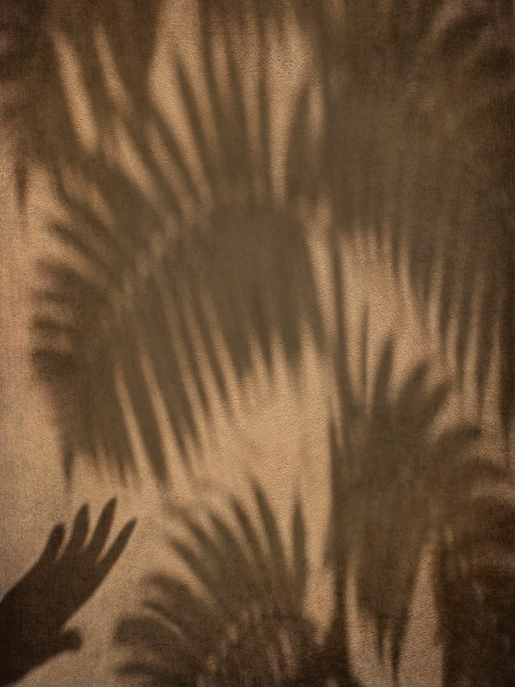 Haven 2