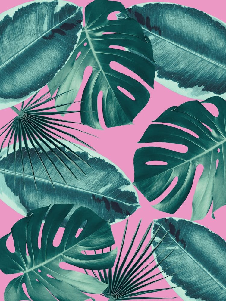 Floral collage 8