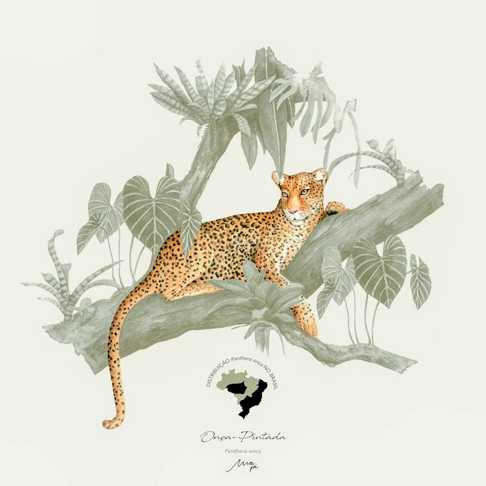 Onça Pintada 2