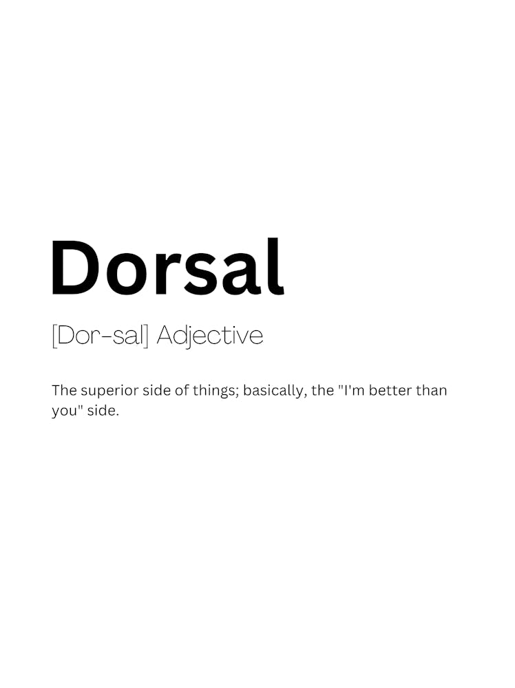 Dorsal Definition Meaning 1