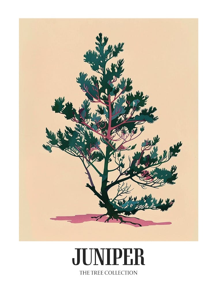 Juniper Tree Colourful Illustration 3 Poster