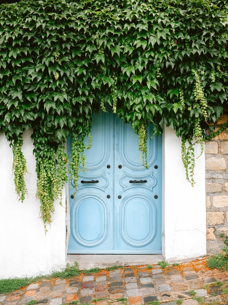 The Blue Door Of Montmartre
