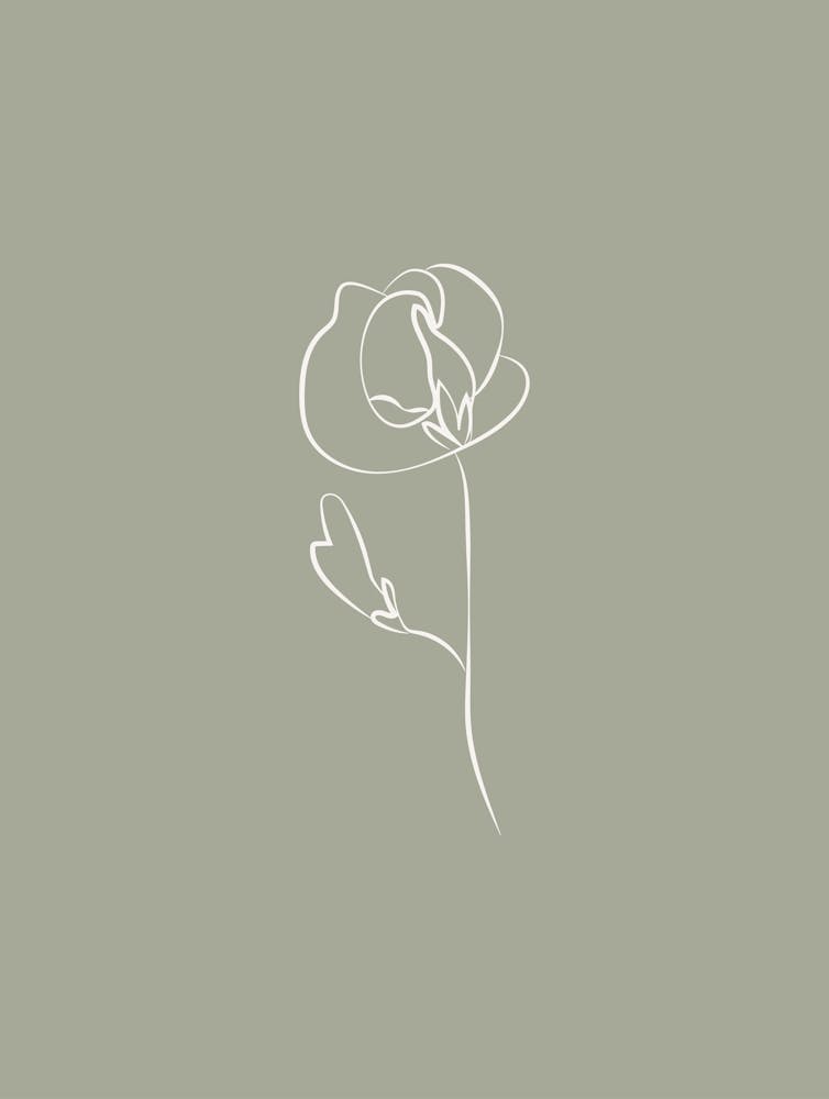 Line Art Flower 2 - Sage Green