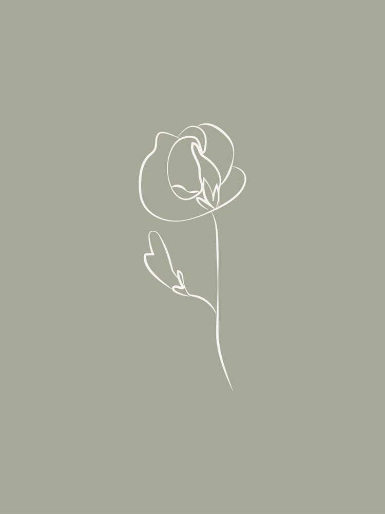 Line Art Flower 2 - Sage Green