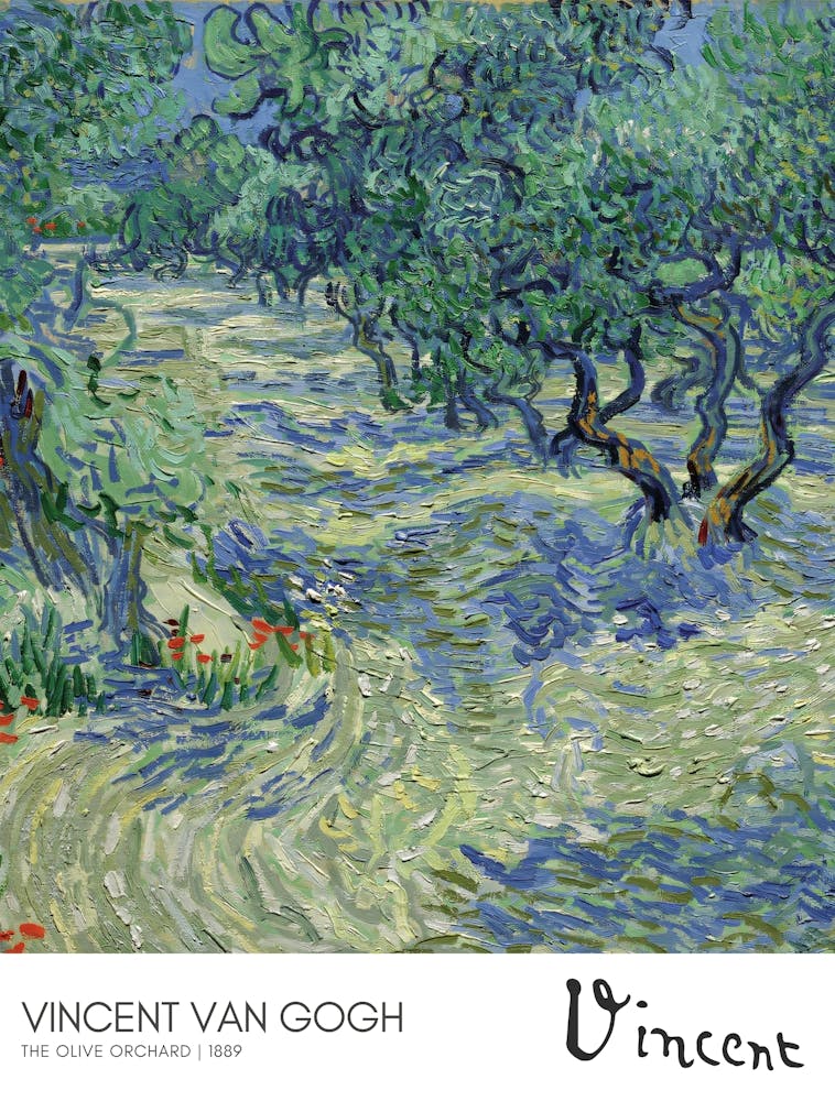 Vincent Van Gogh'S Olive Trees - Vincent van Gogh Olive Orchard - Van Gogh nature painting - famous olive tree artwork