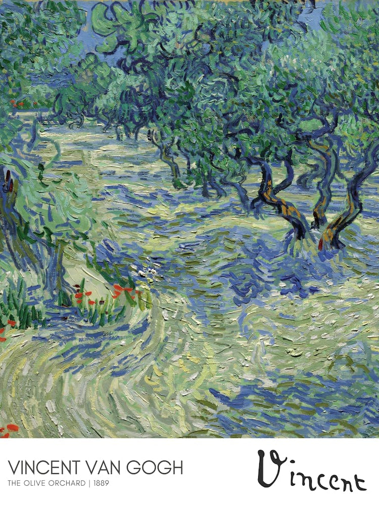 Vincent Van Gogh'S Olive Trees - Vincent van Gogh Olive Orchard - Van Gogh nature painting - famous olive tree artwork