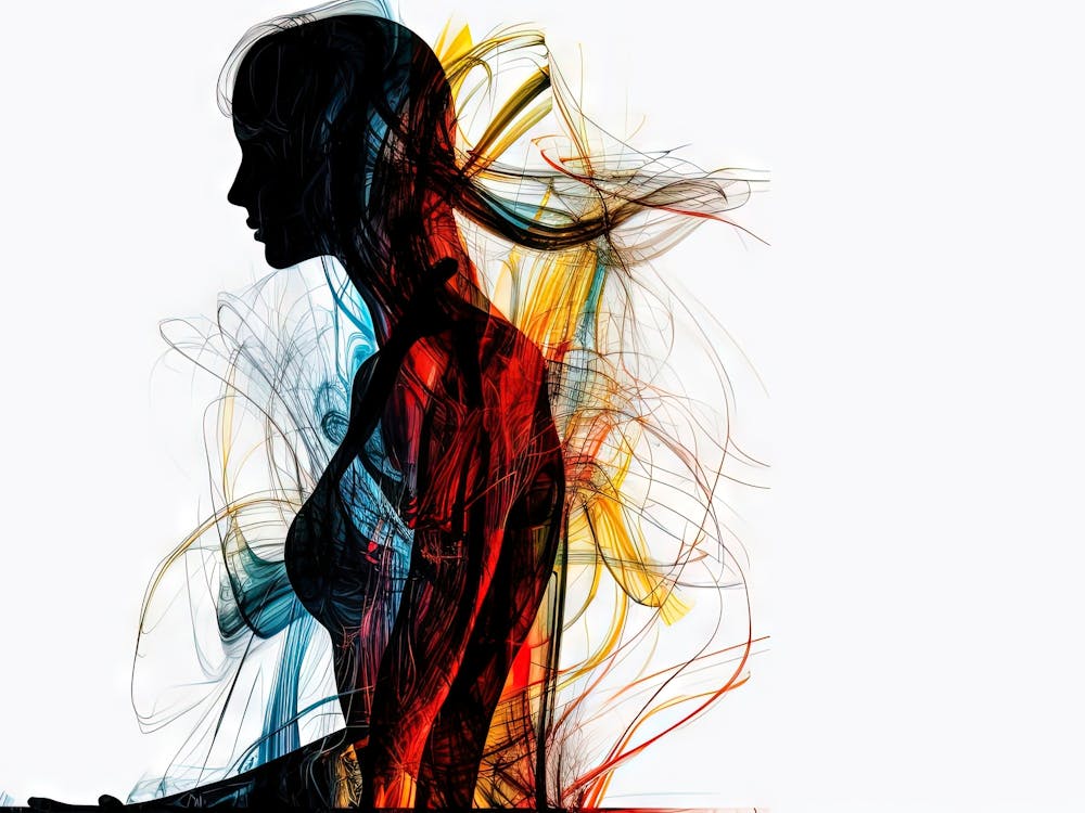 Silhouette Of A Woman 2