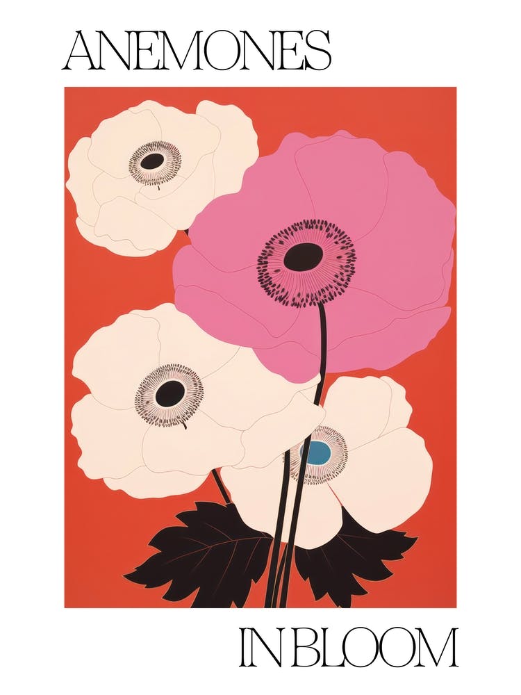 Anemones In Bloom Flowers Bold Illustration 3
