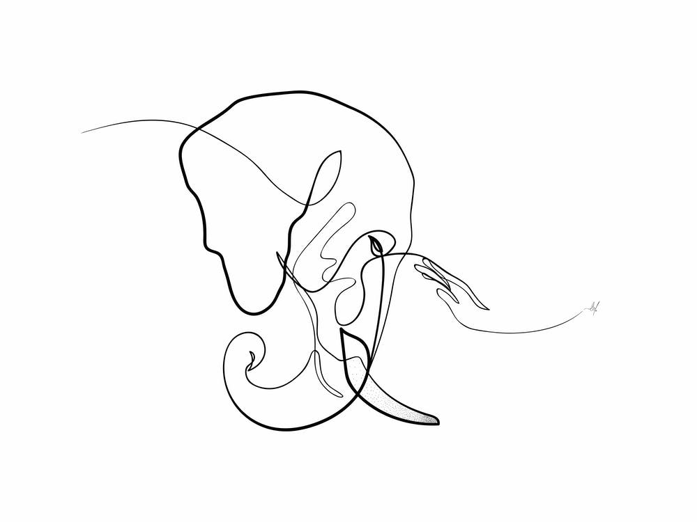 Elefant 04