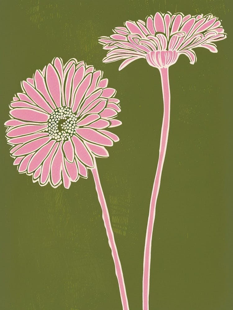 Pink & Green Gerbera Daisy 1