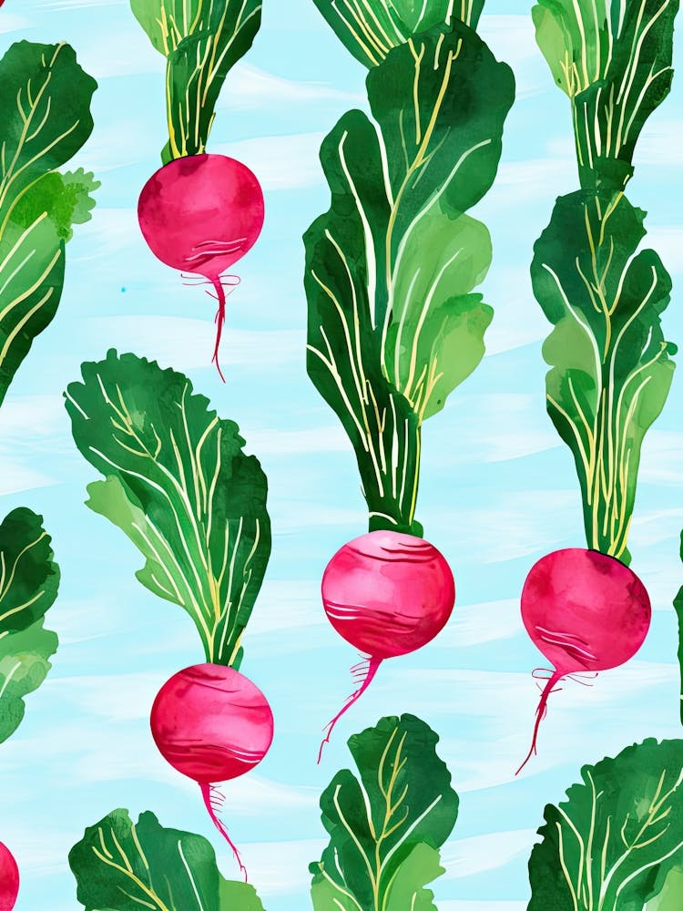 Beets Summer Illustration 3