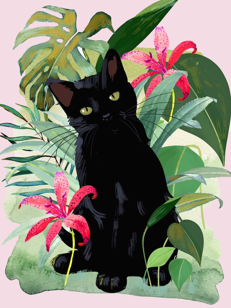 Tropical Cat 2