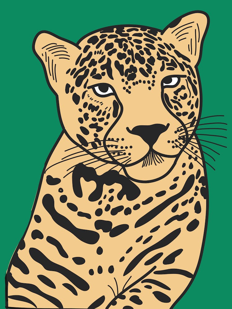 Leopard