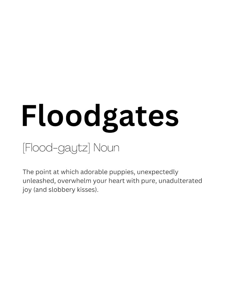 Floodgates Definition Meaning