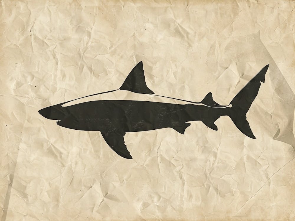 Tiger Shark Grey Silhouette 4