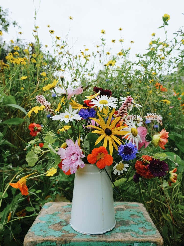 A Vase Of Colourful Flowers
