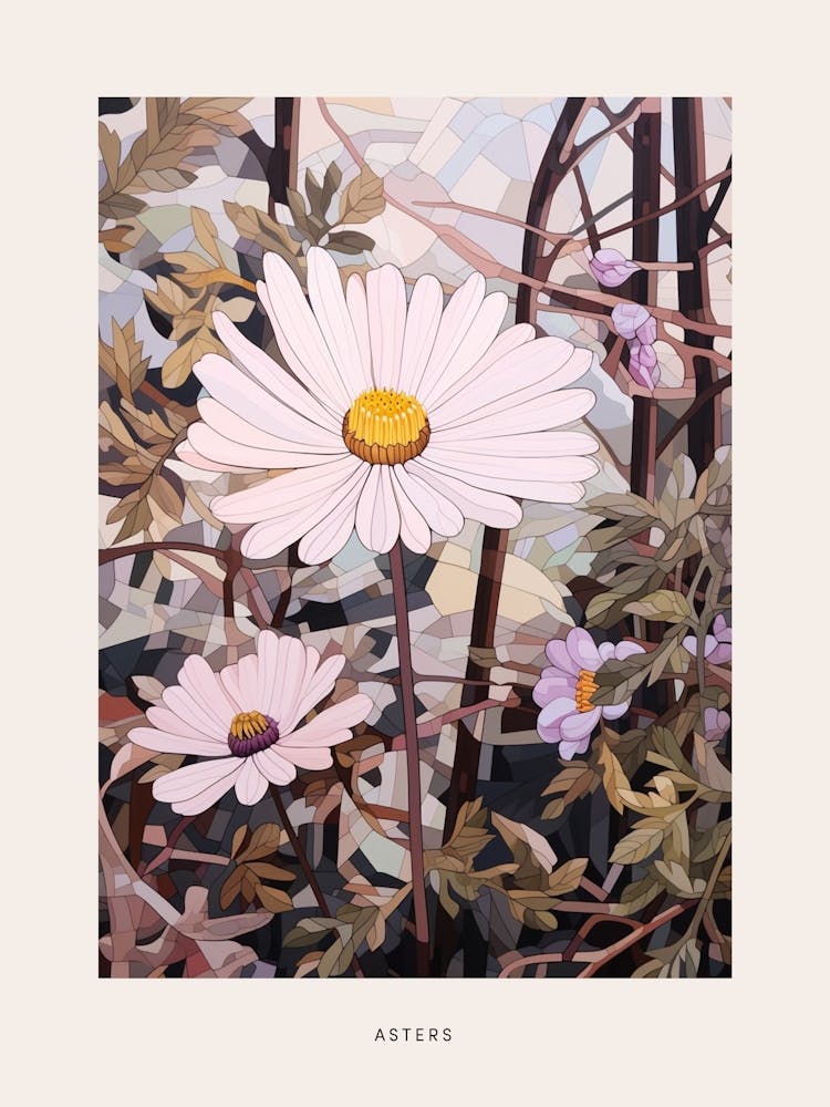 Flower Illustration Asters 3 Poster