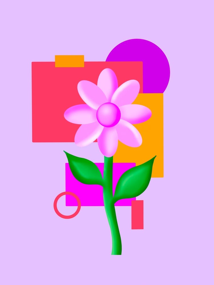 Flowers And Shapes