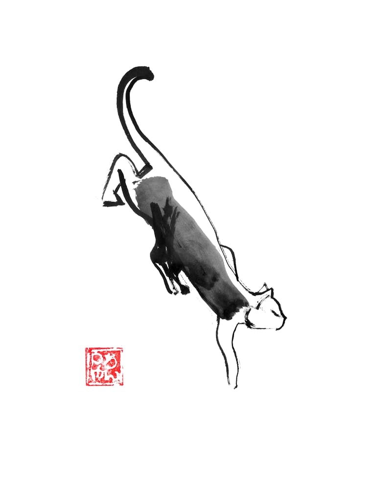 Sneaking Cat