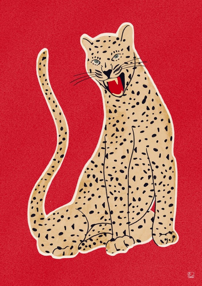 Leopard On Red Backgroound Animal