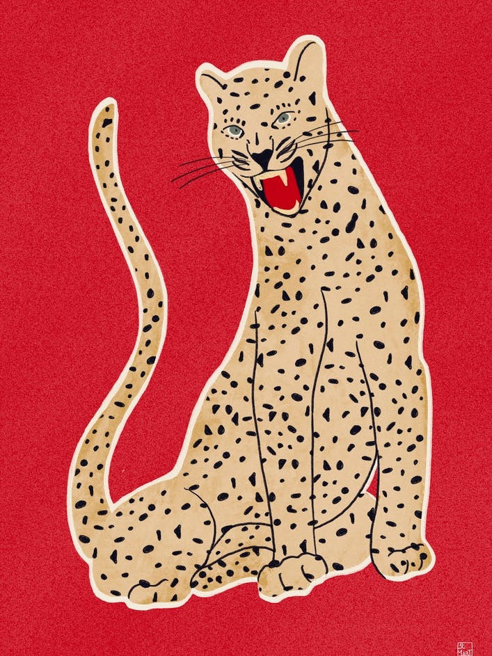 Leopard On Red Backgroound Animal