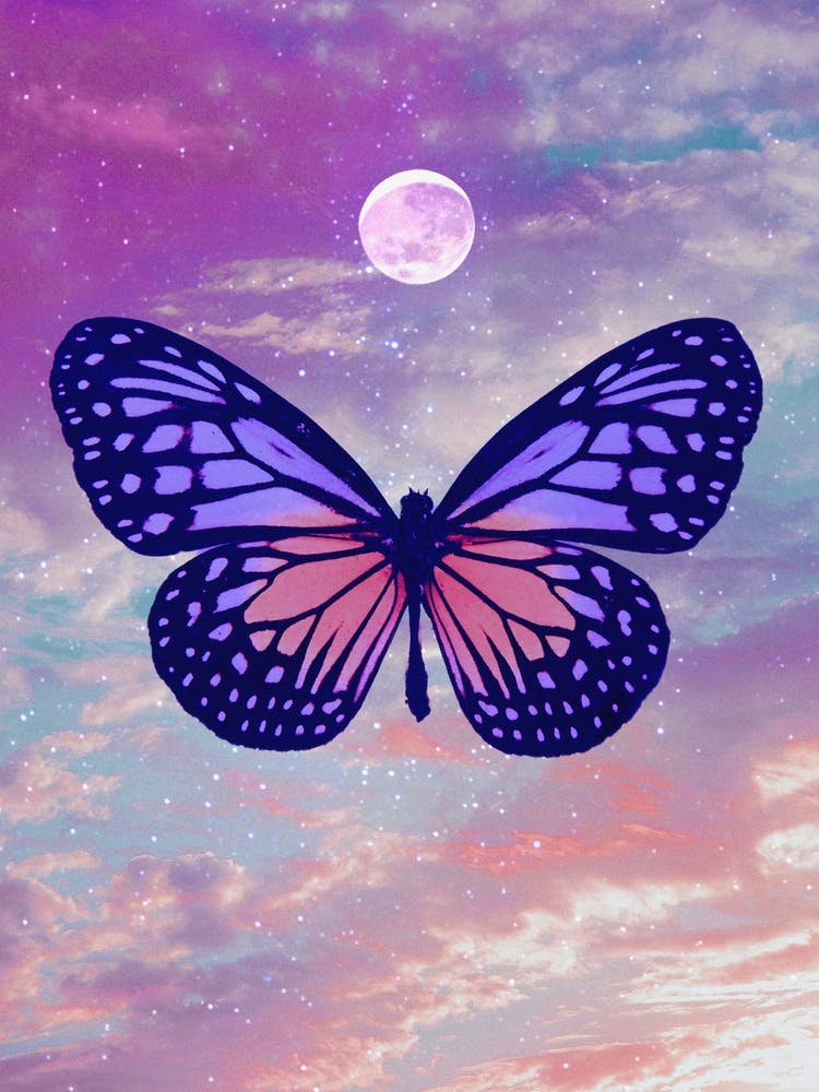 Moody Butterfly Moon Collage