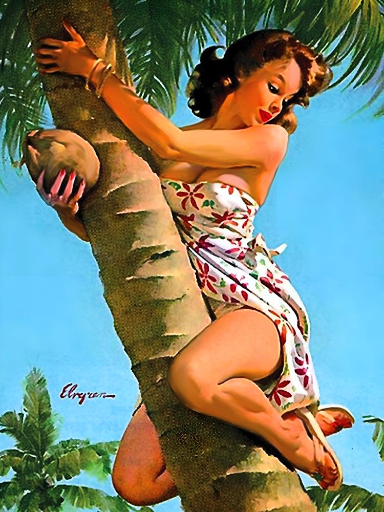 Pinup Sexy Girl On A Coconut Tree, Funny Vintage Poster